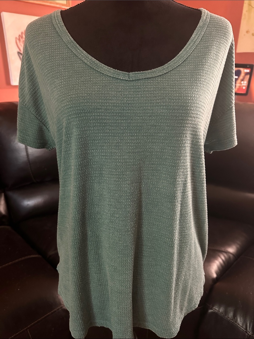 Falls Creek Women's Scoop Neck Short Sleeve Top in Sage Green